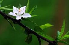 2022年几月打春立春