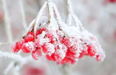 怎么确定文昌位在家里哪个位置