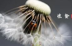 财运差的人怎样转运 如何让财运变旺