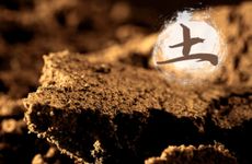 五行属土女性怎么提升事业运