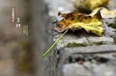 王阳明属什么生肖的 王阳明年少有为