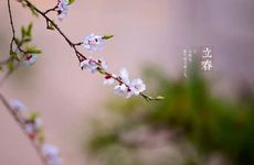 立春节气的传统活动及禁忌