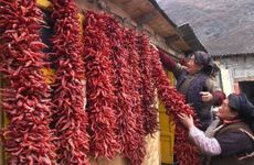 ​大年初二能送鞋吗