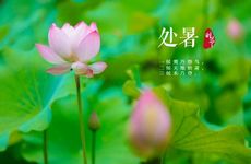 2023年处暑祝福短信15篇