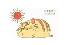 1998年属虎人哪几年能遇到另一半