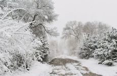 立冬有什么禁忌活动