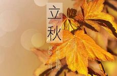 周公解梦食桑葚 梦见搞桑葚吃周公