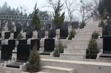 祭奠鲜花应该用什么花一般包几朵？清明节扫墓花束表达什么含义