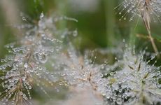 2023年寒露节气为啥不可以露脚 传统饮食是什么