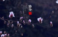 梦见高头大马有什么预兆