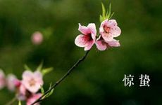 木蛇最佳婚配是什么属相 木蛇和什么最相配