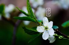 春分到 蛋儿俏春分竖蛋技巧