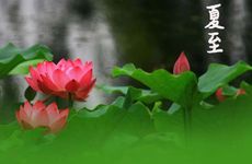 夏至吃什么蔬菜好，生菜苦瓜芹菜