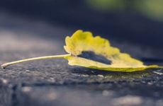 2023年7月热还是8月热