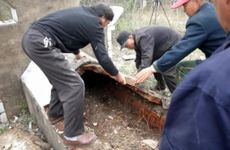 八方来财树气运好吗 八方来财树避免放在横梁下