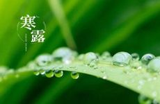 三国吕布属什么生肖 吕布飞将出世