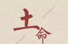 1990年路旁土命小心哪些人，属马人的命中小人属相