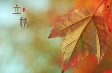 2022年立秋是几月几日几点 补充营养讲究多