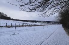 越老越怕老婆的生肖男 妻管严的生肖