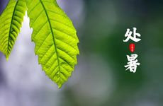 2024年雨水是什么时候 2024雨水节气怎么计算