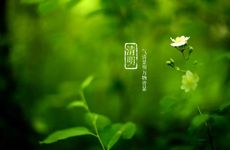 清明节可以去男友家吗 适合有什么活动