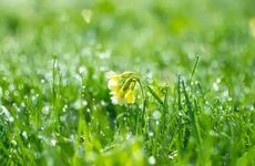 春分节气的特点和风俗 春分的特点简单描述