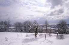 孤单的网名男生