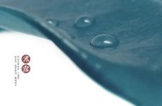 寒露寿眉 秋寿眉里的好茶！