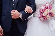 家里养什么花旺财又对身体好 君子兰喜事连连