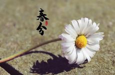 梦见薄荷怎么回事 梦见薄荷有什么预兆