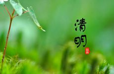 清明节上坟带什么祭品呢