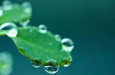 2022年白露冷不冷 2022白露过后是否还有高温天气