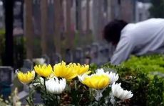 哪些星座女有成为网文之神的潜质