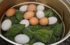 为什么要在端午节采艾草