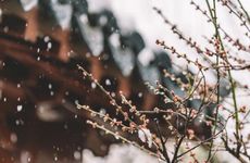 立春能出远门吗 跟随自己的意愿