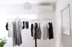 养什么鱼招财转运又容易养 招财就养这几种