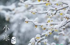 梦见艾滋病人怎么回事 梦见艾滋病人有什么预兆