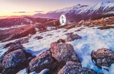 今日生肖相冲查询 2022年11月23日农历十月三十