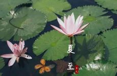 梦见头发变长了