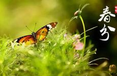 生理需求最强烈的星座女（生理需求最强的星座女）