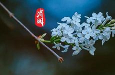 已怀孕梦见自己胎停了是啥意思