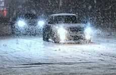 梦见将蛇打死会怎么样
