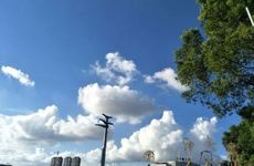 传统节日故事之东北杀年猪习俗由来