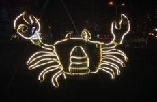 农历七月七的人好不好