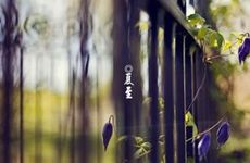 夏至文案朋友圈 春去夏来的佳句