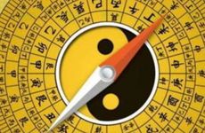 日柱辛未女命 辛未日柱女命之人财运还是不错的