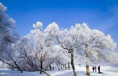 2023年大寒是几九第几天 2023年大寒是哪天