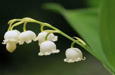 觉得暑假太无聊 这些星座盼着开学