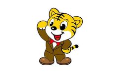 属虎人打牌穿什么衣服财运旺