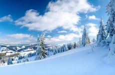 2022年大雪节气宜忌查询 这天日子好不好